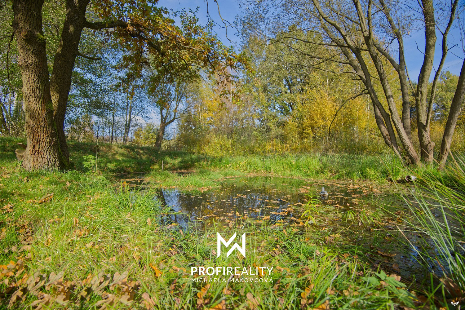 Prodej zahrady 1 603 m² - Widok 5