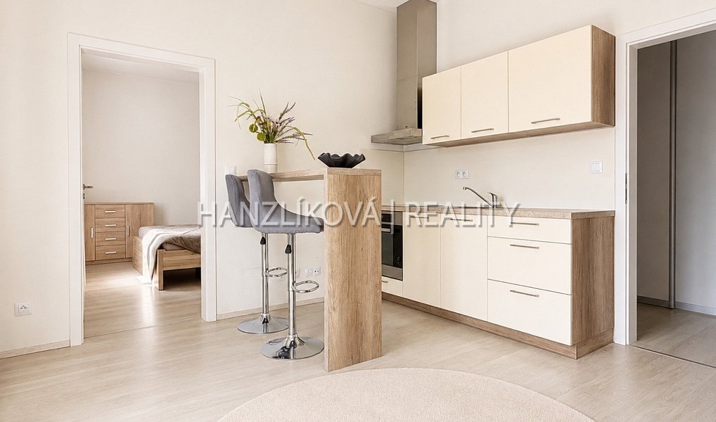 Pronájem bytu 2+kk 40 m², České Budějovice – náhled fotky 3