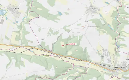 Dražba lesa 54 m², Vladislav