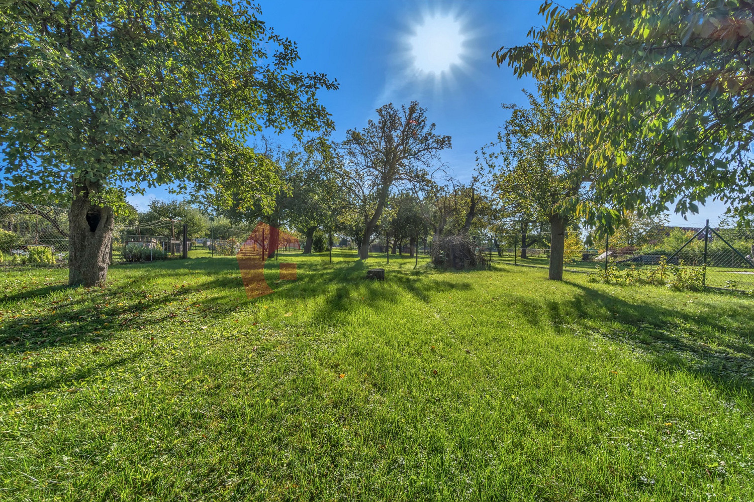 Prodej domu 100 m² s pozemkem 1 664 m² – fotografie 4