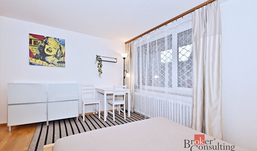 Pronájem bytu 1+kk 25 m², Praha – náhled fotky 4