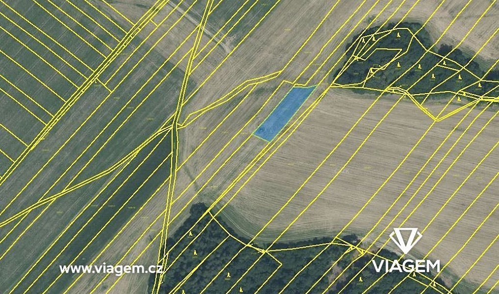 Prodej pole 796 m², Vřesina – náhled fotky 4
