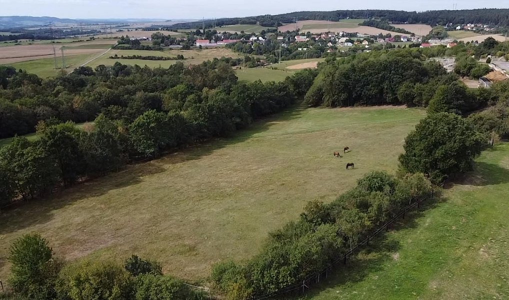 Prodej louky 6 229 m², Bojanovice – náhled fotky 3
