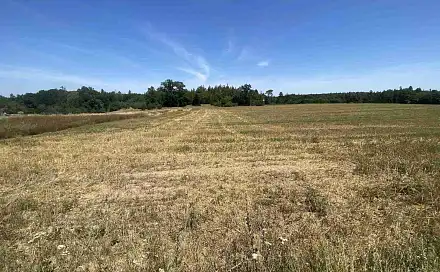 Prodej pole 34 981 m², Ostrovec - Dědovice, okres Písek