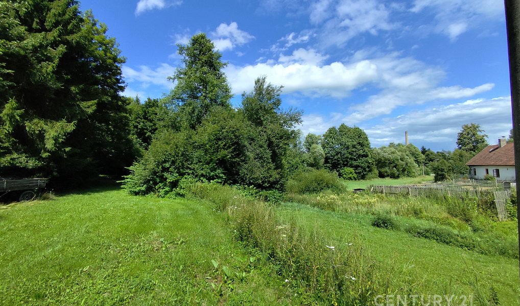 Prodej zahrady 4 886 m², Včelnička – náhled fotky 2