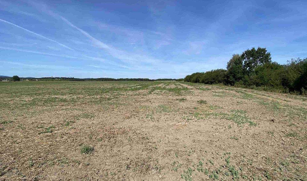 Prodej komerčního pozemku 26 974 m², České Velenice – náhled fotky 4