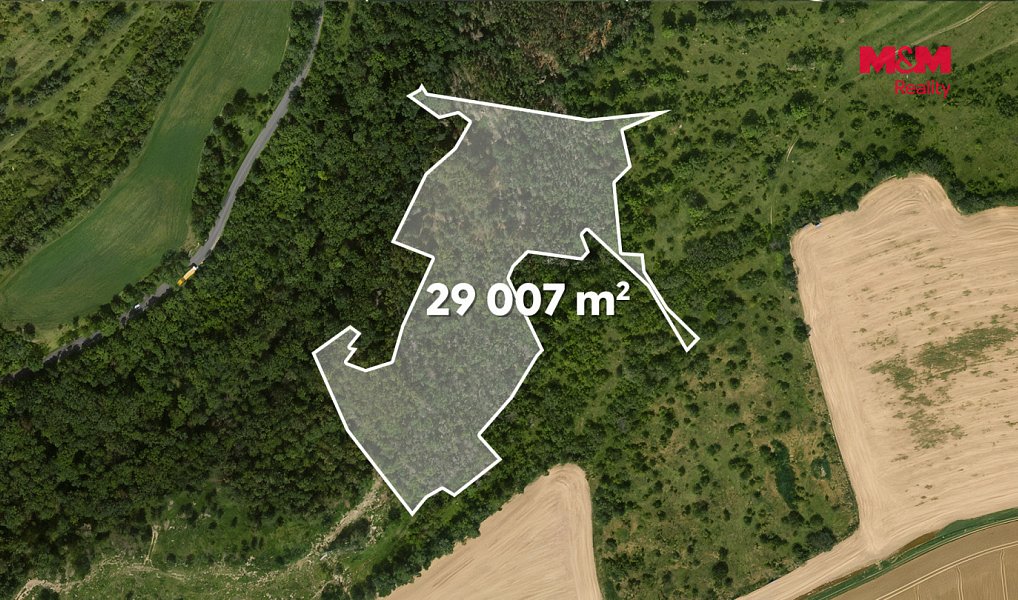 Prodej lesa 49 399 m², Libochovice – náhled fotky 11