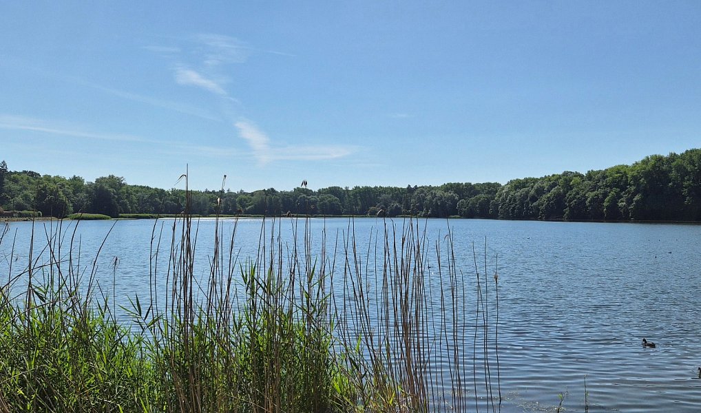 Prodej nájemního domu, činžáku 322 m², Hostivice – náhled fotky 23