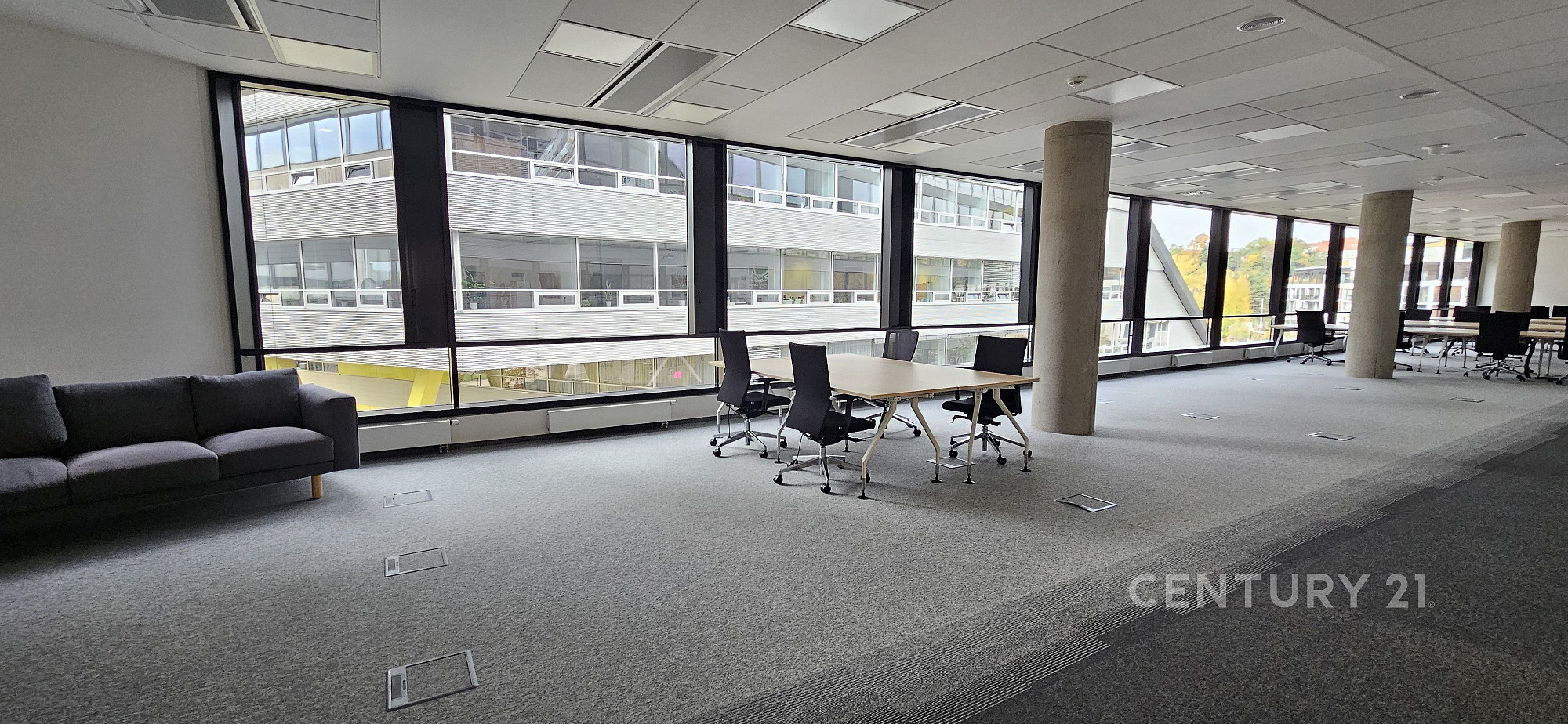 Pronájem kanceláře 439 m² – fotografie 3