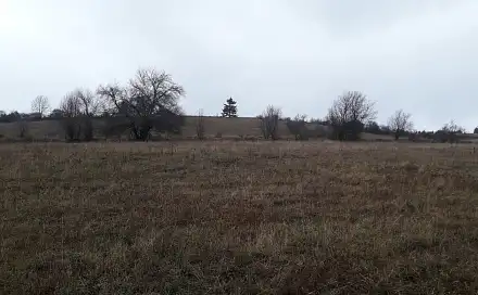Prodej pole 25 028 m², Teplice nad Metují - Dolní Teplice, okres Náchod