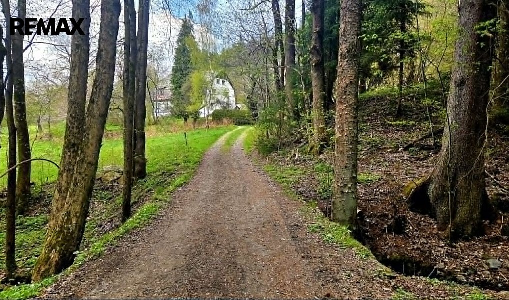Prodej chaty/chalupy 430 m² s pozemkem 10 355 m², Kořenov – náhled fotky 57