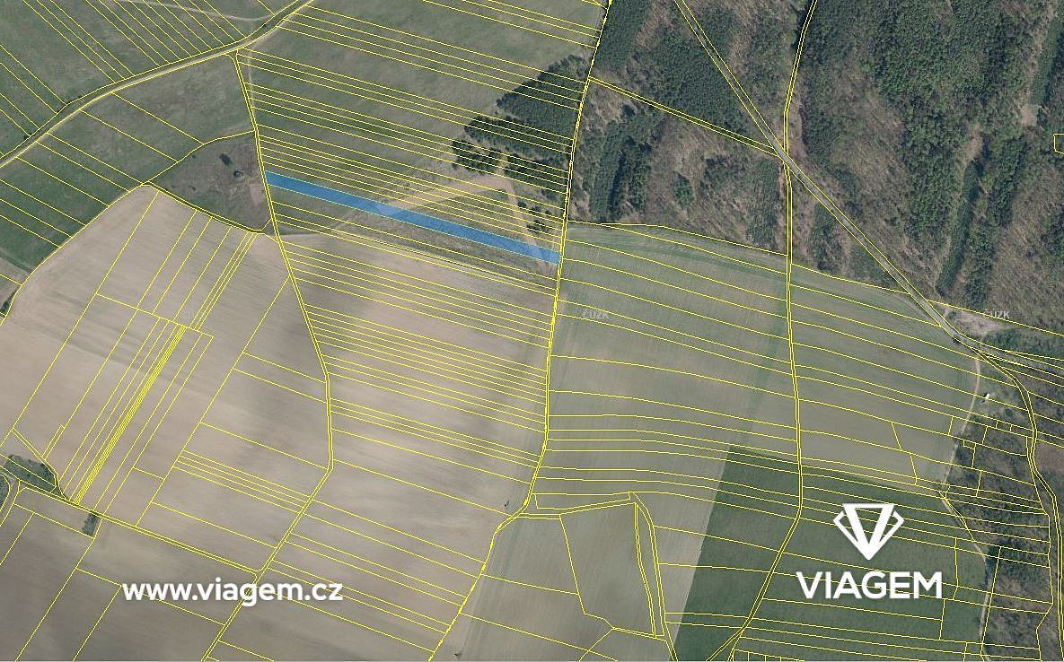 Prodej pole 5 749 m² – fotografie 3