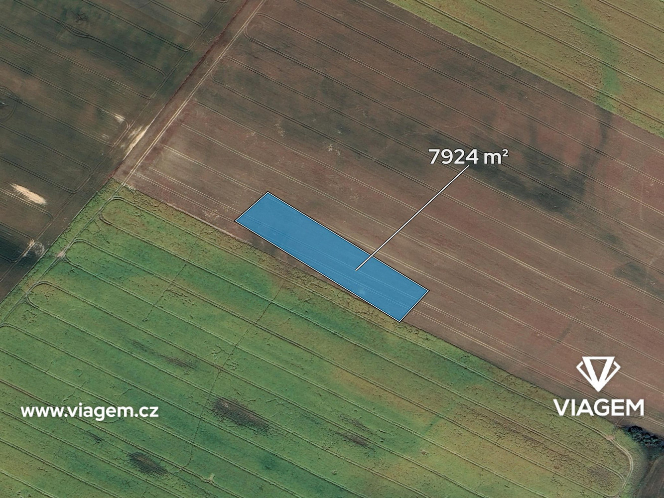 Prodej pole 1 981 m² – fotografie 2