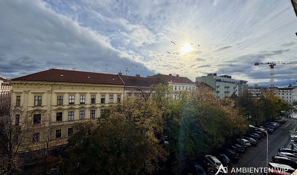 Pronájem kanceláře 316 m², Brno – náhled fotky 20