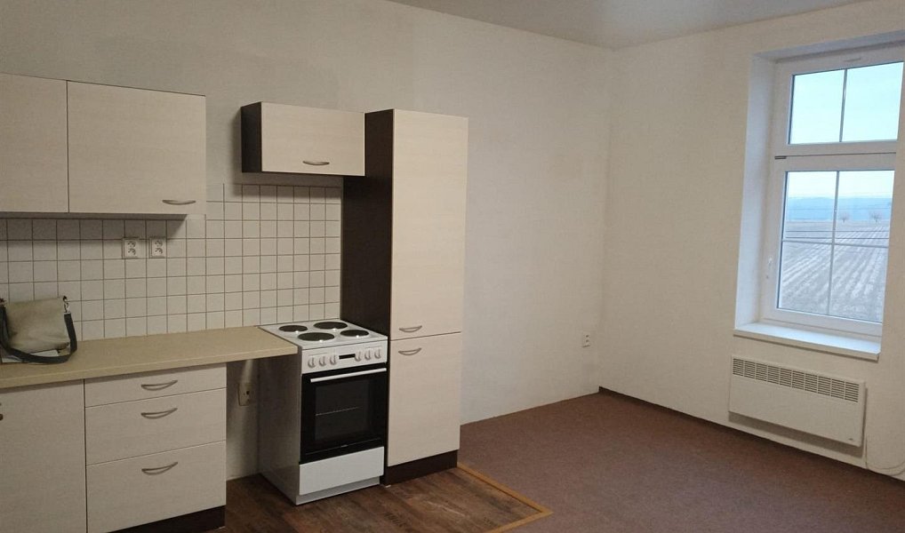 Pronájem bytu 2+kk 48 m², Mlečice – náhled fotky 3