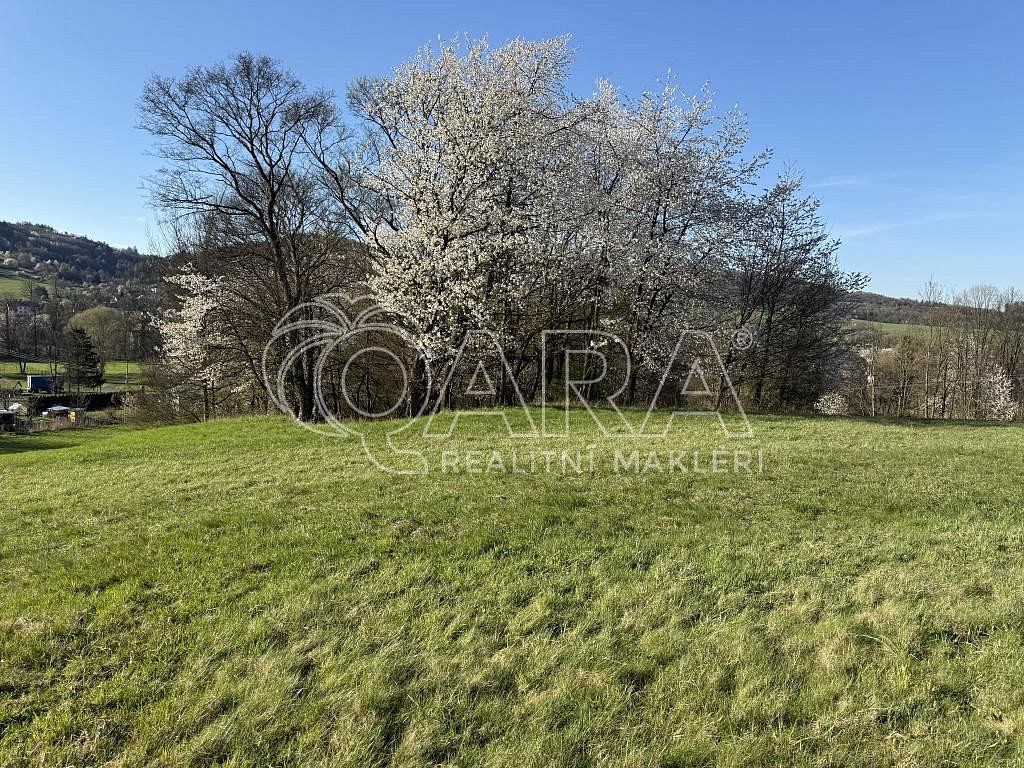 Prodej louky 101 964 m² – fotografie 4