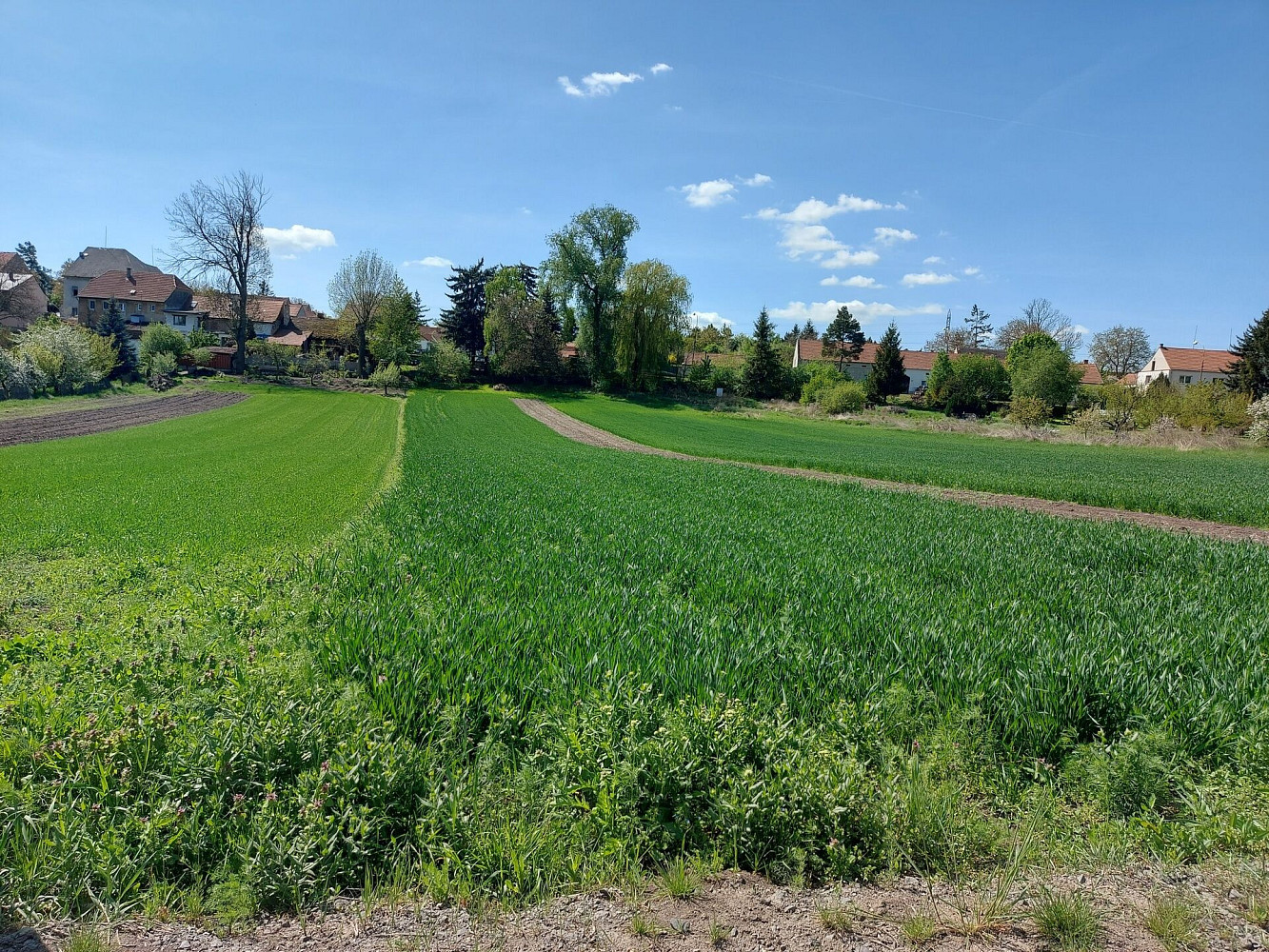 Prodej stavebního pozemku 1 532 m² – fotografie 4