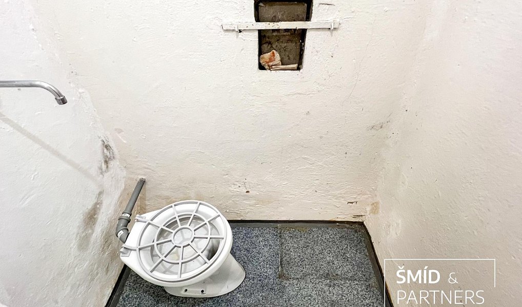 Prodej obchodních prostor 540 m², Zásmuky – náhled fotky 18