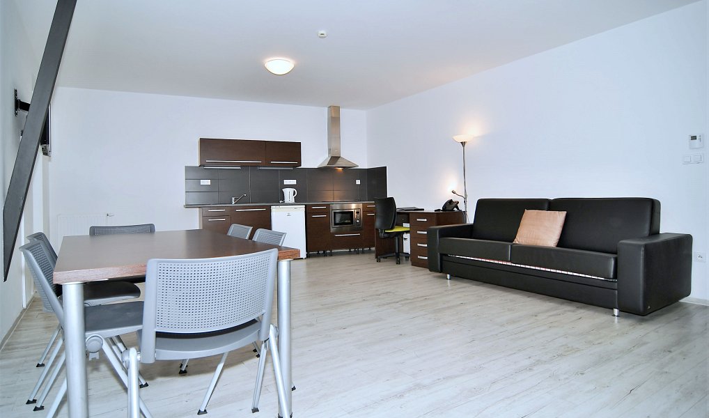 Pronájem bytu 3+kk 162 m², Brno – náhled fotky 2
