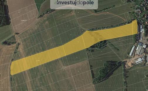 Prodej pole 66 907 m², Úbislavice, okres Jičín