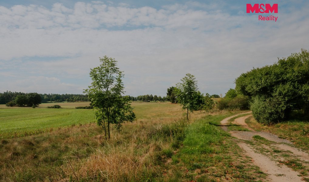 Prodej domu 250 m² s pozemkem 875 m², Kadov – náhled fotky 21
