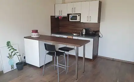 Pronájem bytu 1+kk 30 m²