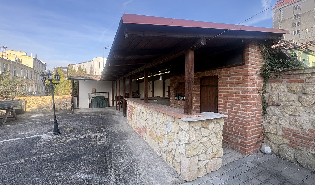 Prodej domu 450 m² s pozemkem 548 m², Mladá Boleslav – náhled fotky 8
