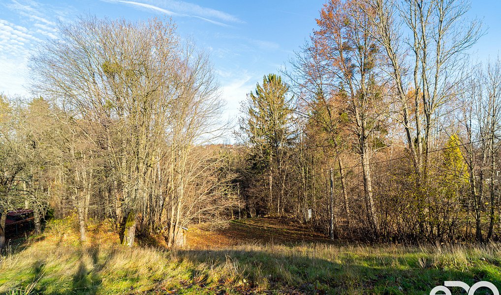 Prodej stavebního pozemku 2 081 m², Budislav – náhled fotky 9