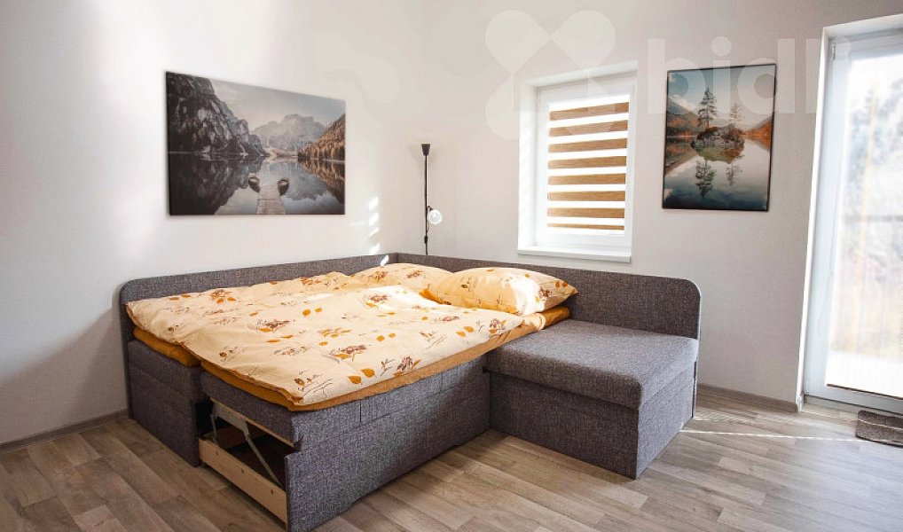 Prodej bytu 2+kk 45 m², Červená Voda – náhled fotky 12