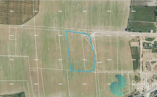 Prodej komerčního pozemku 15 000 m², Planá, okres České Budějovice