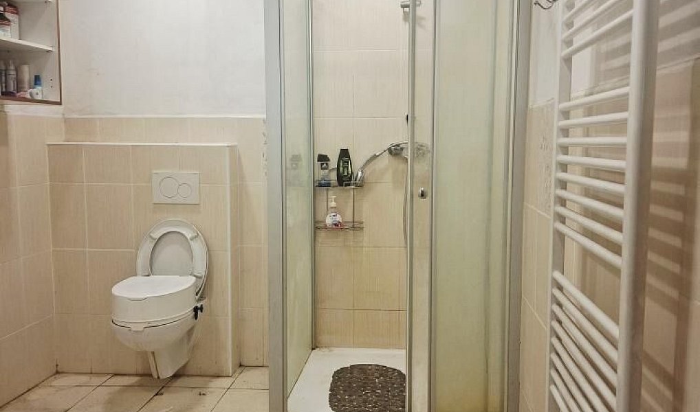 Prodej domu 250 m² s pozemkem 4 360 m², Loučany – náhled fotky 17