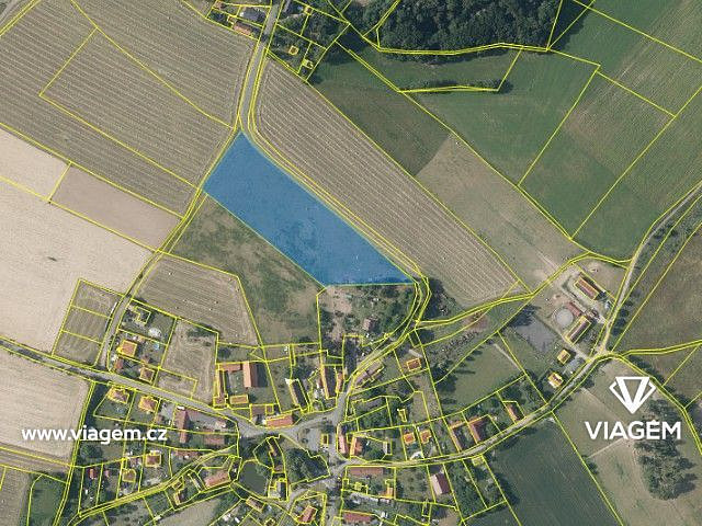 Prodej pole 2 167 m² – fotografie 2