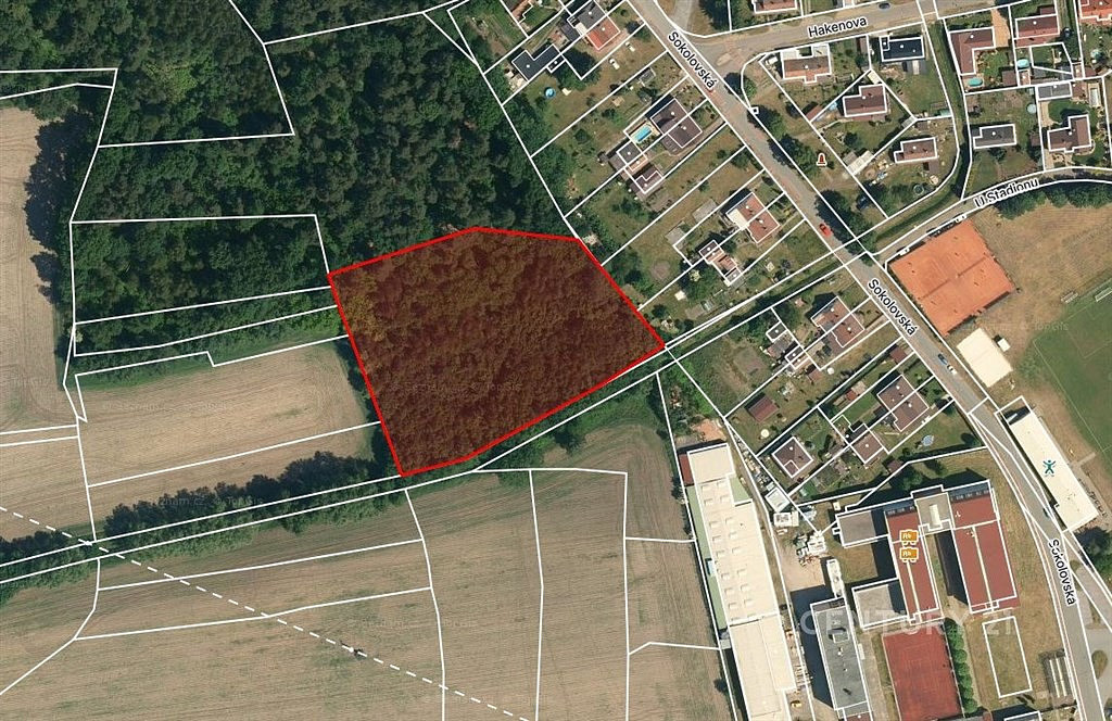Prodej pole 10 362 m² — photo 3