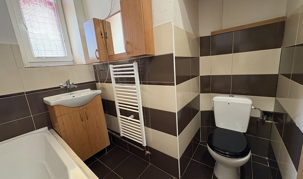Pronájem bytu 2+1 52 m², Mírov – náhled fotky 13