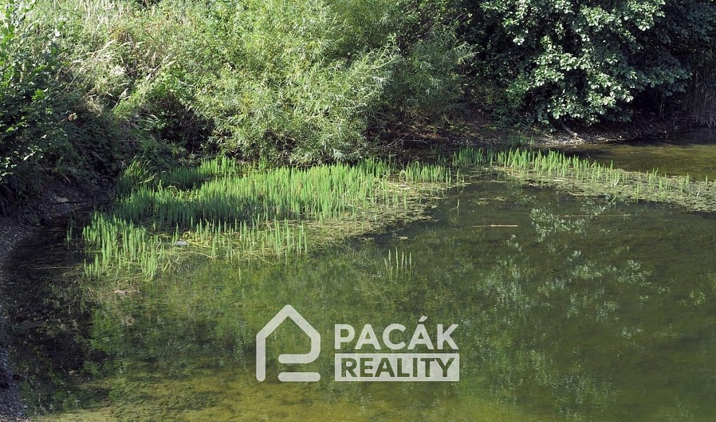 Prodej pole 15 995 m², Kožušany-Tážaly – náhled fotky 7