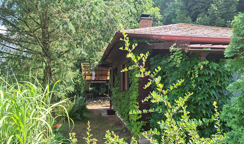 Prodej chaty/chalupy 54 m², Tchořovice – náhled fotky 9