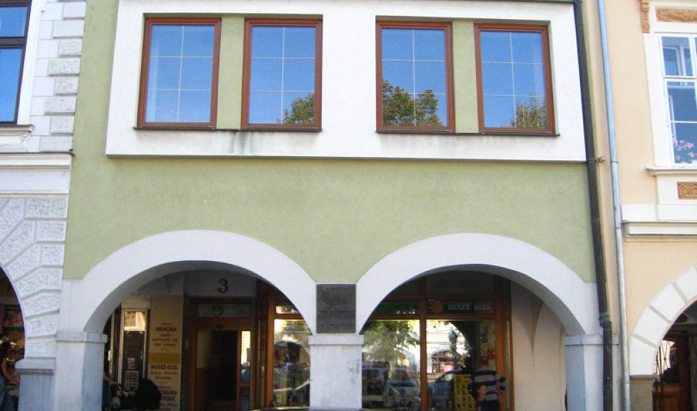Prodej domu 900 m² s pozemkem 345 m², Frenštát pod Radhoštěm – náhled fotky 25