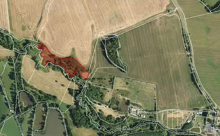 Prodej pozemku 11 892 m², Františkovy Lázně - Krapice, okres Cheb