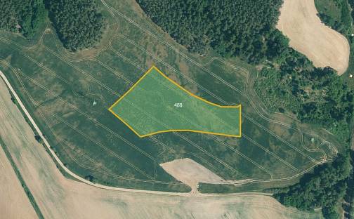 Prodej pole 14 210 m², Kralovice - Řemešín, okres Plzeň-sever