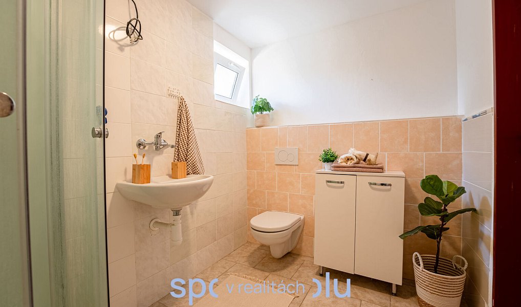 Prodej domu 127 m² s pozemkem 745 m², Bošovice – náhled fotky 30