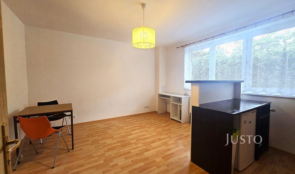 Pronájem bytu 1+kk 28 m², Písek – náhled fotky 8