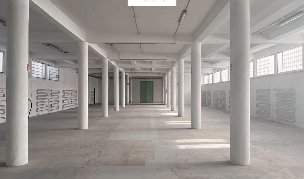 Pronájem skladovacích prostor 4 023 m², Přerov – náhled fotky 3
