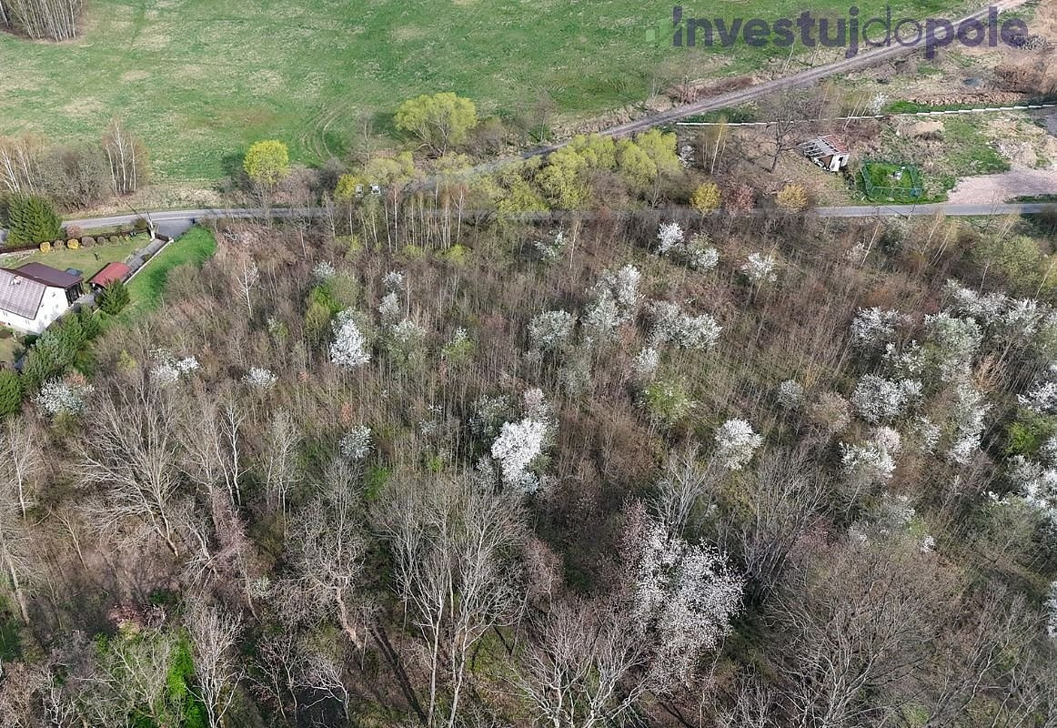 Prodej stavebního pozemku 8 600 m² – fotografie 5