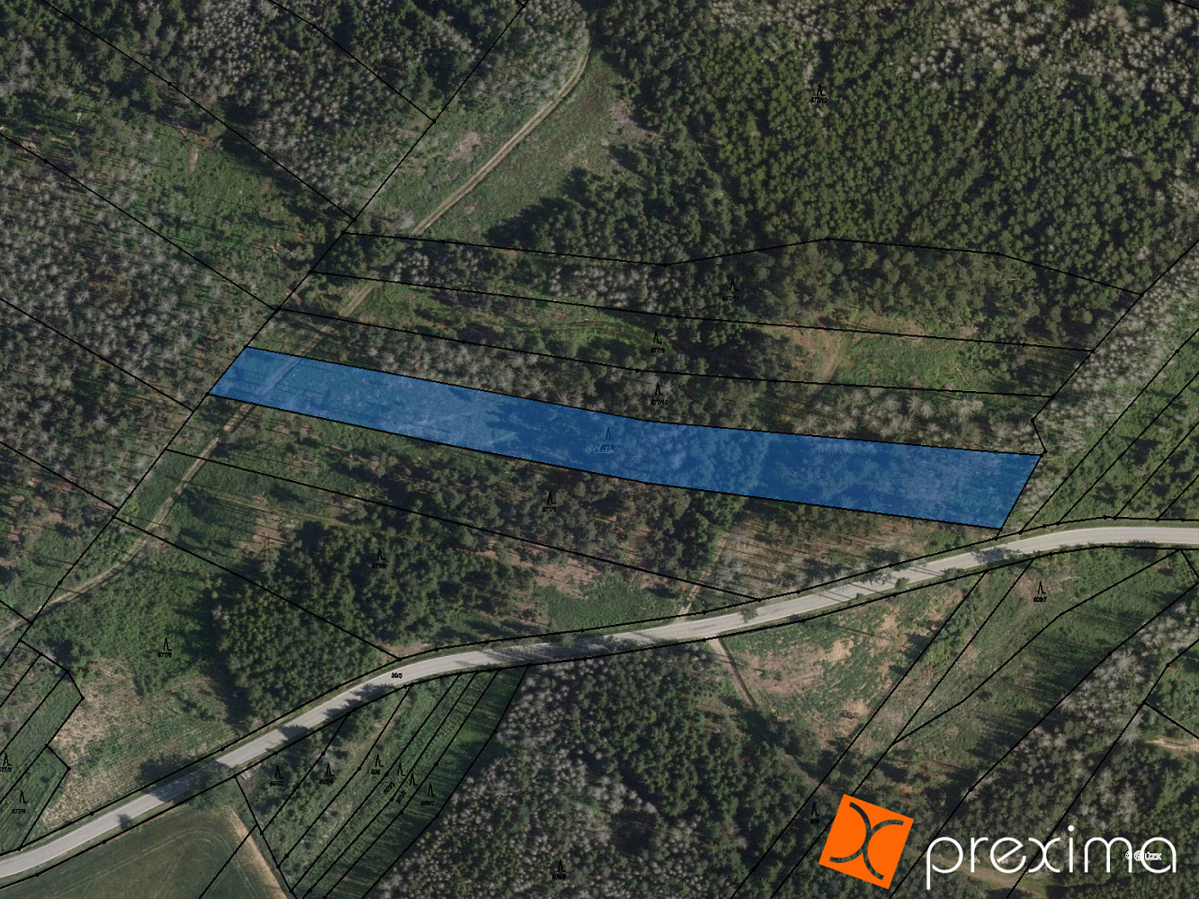 Prodej lesa 9 117 m²