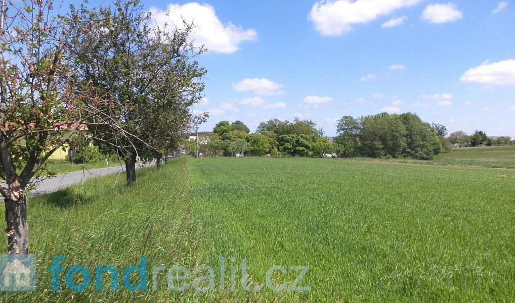 Prodej pole 1 053 m², Rybníček – náhled fotky 2