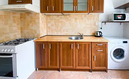 Pronájem bytu 1+1 39 m²