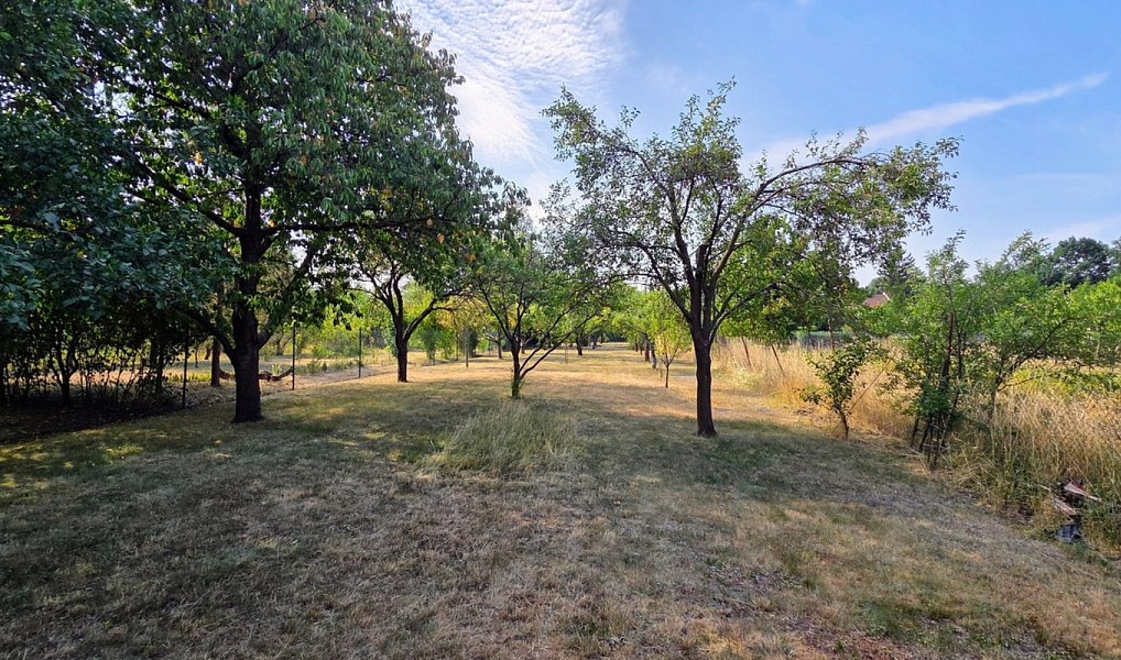 Prodej stavebního pozemku 1 199 m², Kostelec na Hané – náhled fotky 6
