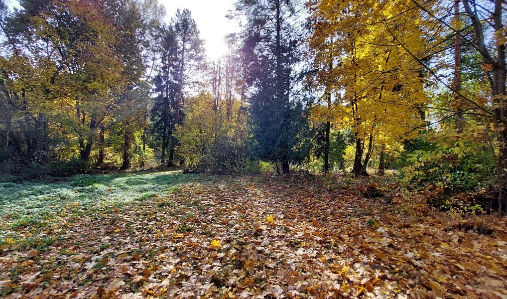 Prodej stavebního pozemku 1 126 m², Kamenice – náhled fotky 8