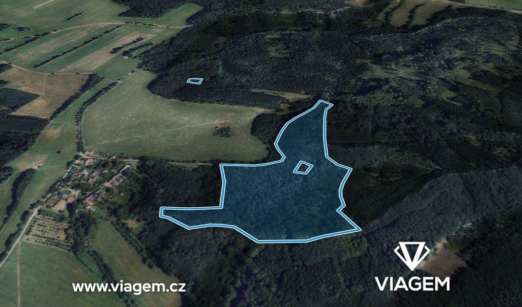 Prodej lesa 3 234 m², Městečko Trnávka – náhled fotky 2