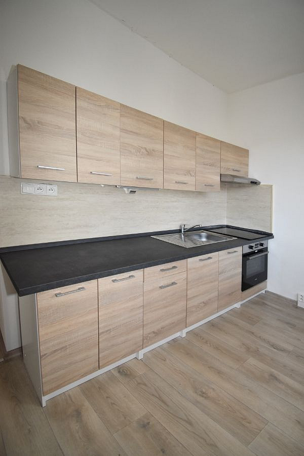 Pronájem bytu 2+1 54 m² – fotografie 3